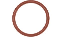 Tarpinė - žiedas O-Ring  (skirta: PT-100, SCP 120)