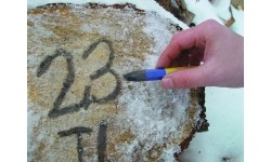 Kreidelė su etikete, grafitinė, pilka Ø12mm, 120mm