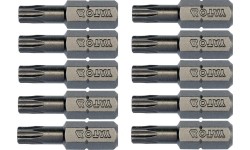 Antgalis TORX 1/4 (6.3mm) T25 x25mmL (10vnt)