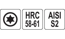 Antgalis TORX 1/4 (6.3mm) T25 x25mmL (10vnt)