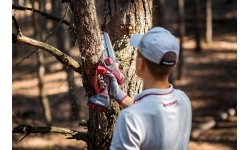 Akumuliatorinis grandininis mini pjūklas su plastikine dėže WORCRAFT 20V LI-ION