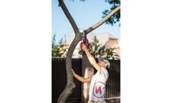 Li-ion Cordless Hand Saw 20V in plastic box