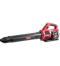 Akumuliatorinis pūstuvas 40V (20V+20V) LI-ION