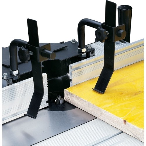 Darbastalis frezeriui Bernardo RT 3 F