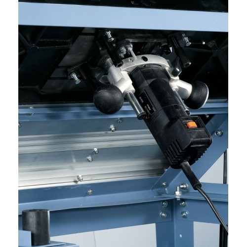 Darbastalis frezeriui Bernardo RT 3 F