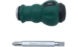 Atsuktuvas dviejų galų PH2/6x38mm