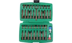 Keičiamų antgalių rinkinys (IMBUS, TORX,SPLINE) 41vnt. S2