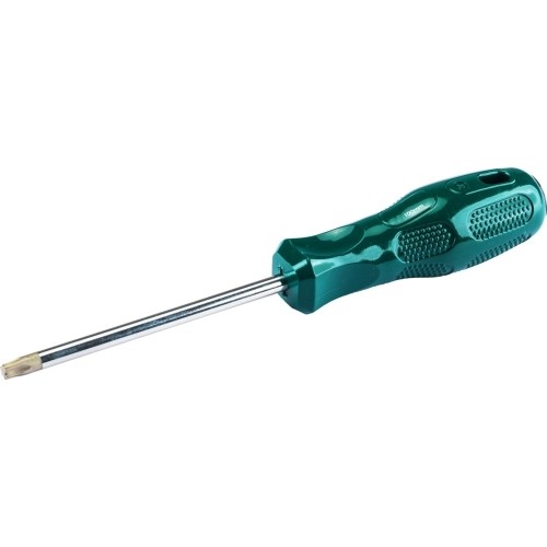 Screwdriver TORX - T25 x 100mm, L203mm