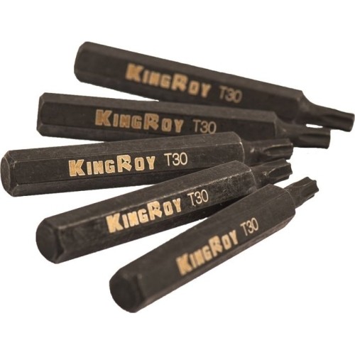 Antgalis TORX, (10mm) 5vnt - T55 x 75mm