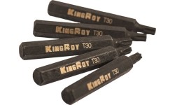 Antgalis TORX, (10mm) 5vnt - T55 x 75mm