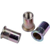 Kniedės srieginės plieninės 50vnt - M6 - 50 vnt