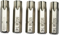 Antgalis TORX  1/4" (6.3mm), 5vnt. - T30 x 25mm