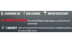 COB rechargeable detachable head lamp with sensor