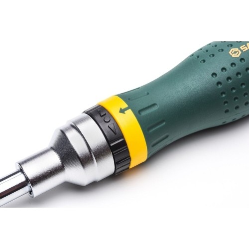 Screwdriver with interchangeable bits (19pcs)
