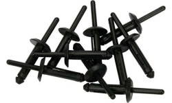 Kniedės plastikinės 10 vnt. - 5.0 x 17.2 mm