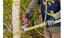 Li-ion Cordless reciprocating saw 12V