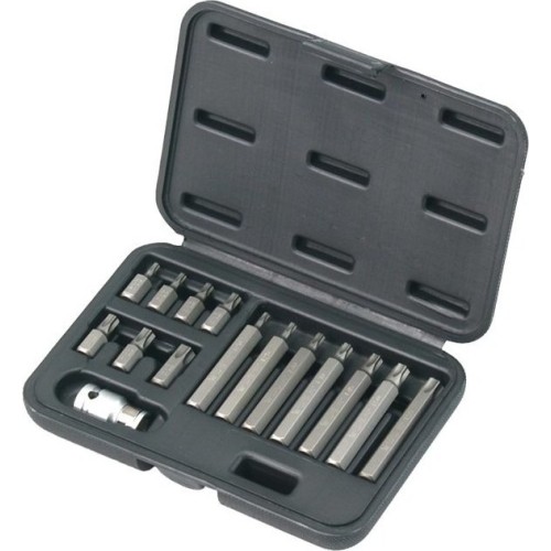 Antgalių rinkinys TORX 15vnt.