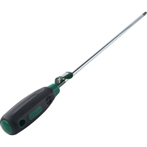 Atsuktuvas TORX - T15 x 300mm